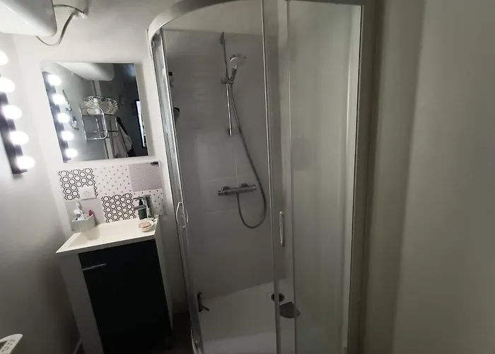 דירה Agreable Studio En Bord De Mer רויאן